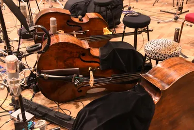 DSC_1663 (Large).JPG